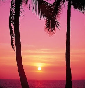 Meet your Posher, Savannah